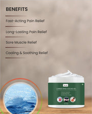 LUMBAR SPINE COOLING GEL ( Pack Of 1 )