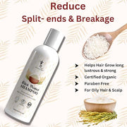 Rice Water Shampoo (Pack of 1)