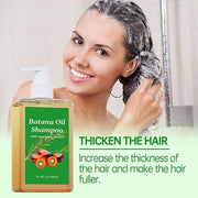 Oil Shampoo with Rosemary Extract(Pack of 2)