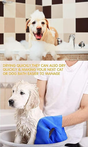 Anti-Itch Dog Shampoo Ditch to Itch (Pack of 1)