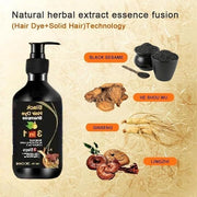 3 in 1 Dye Instant Black Hair Shampoo (Pack of 2)
