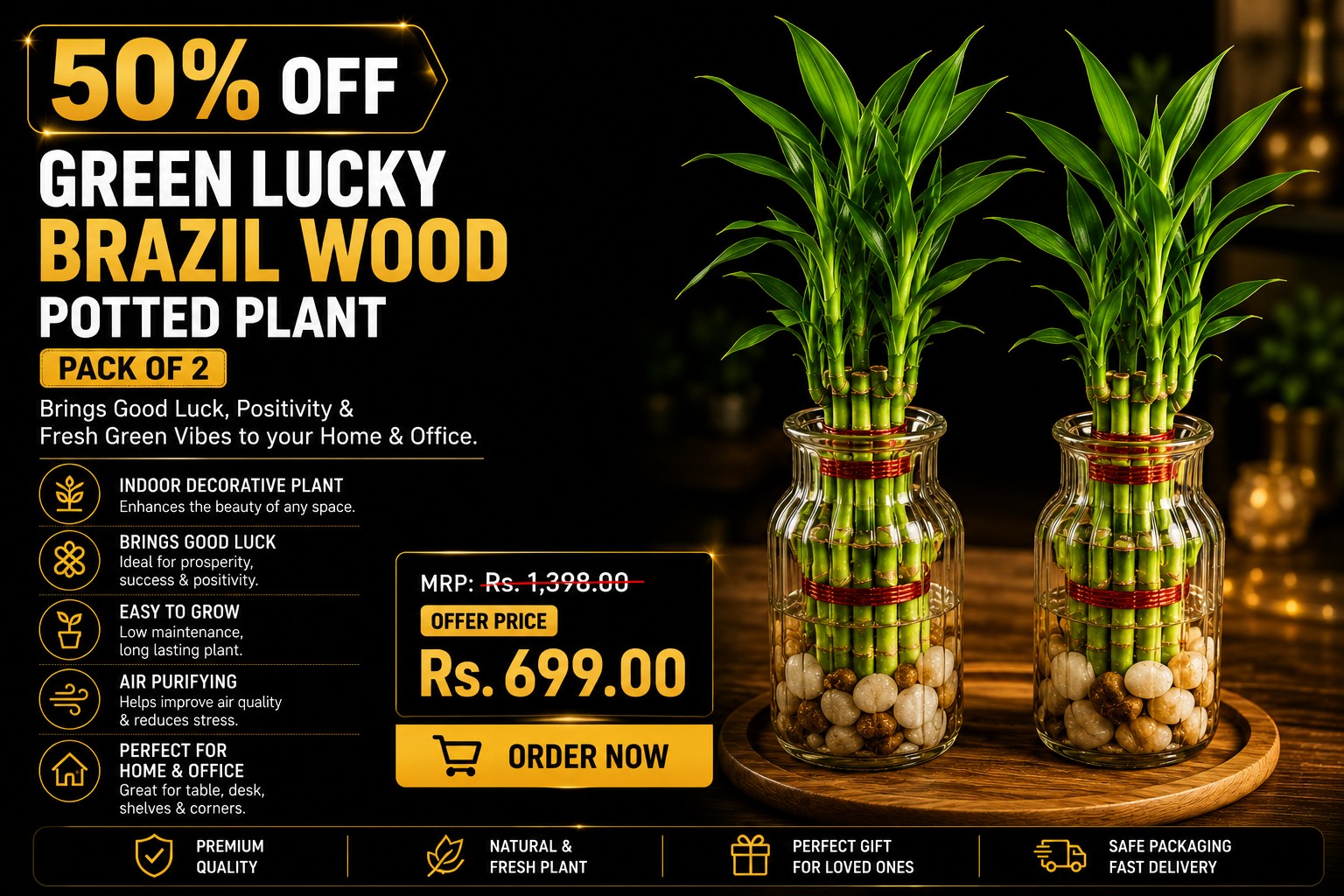 Green Lucky Brazil Wood Potted Plant